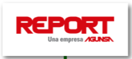 Report